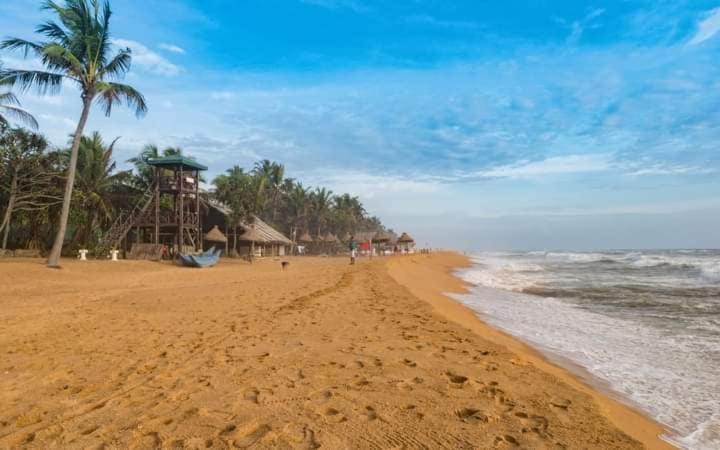Green Bloom Dehiwala-Mount Lavinia Екстериор снимка